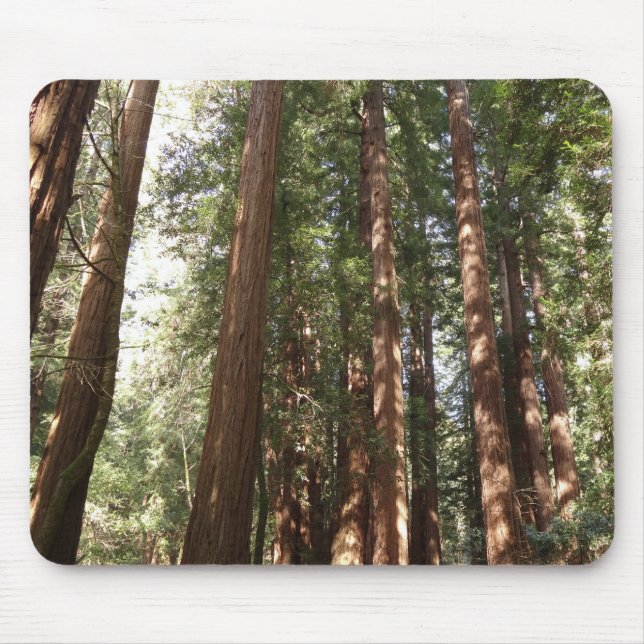 Up to Redwoods II at Muir Woods National Monument Mouse Pad (Front)