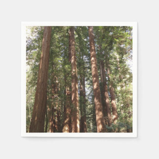 Up to Redwoods II at Muir Woods National Monument Napkin