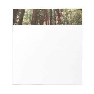 Up to Redwoods II at Muir Woods National Monument Notepad