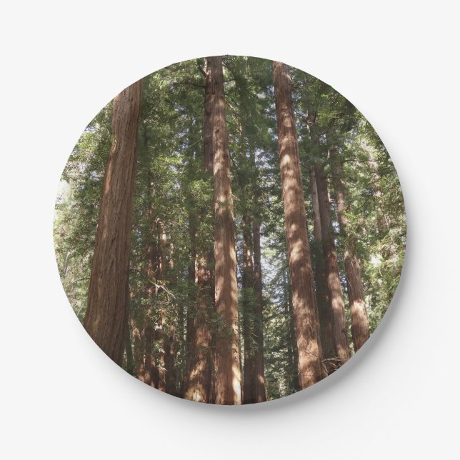 Up to Redwoods II at Muir Woods National Monument Paper Plate (Front)