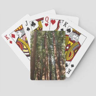 Up to Redwoods II at Muir Woods National Monument Playing Cards