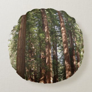 Up to Redwoods II at Muir Woods National Monument Round Cushion