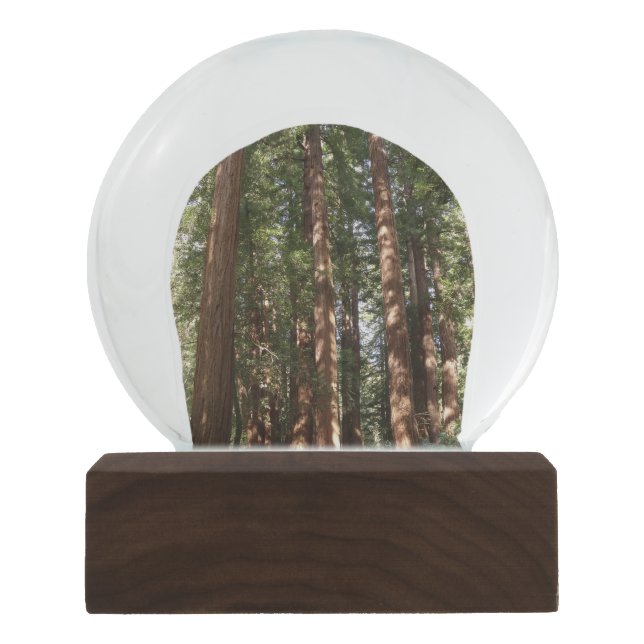Up to Redwoods II at Muir Woods National Monument Snow Globe (Front)