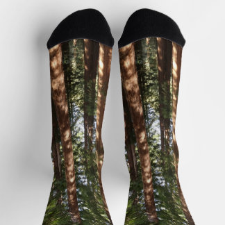 Up to Redwoods II at Muir Woods National Monument Socks