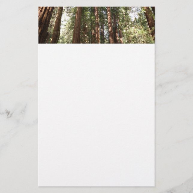 Up to Redwoods II at Muir Woods National Monument Stationery (Front)