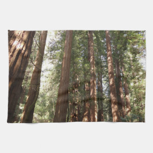 Up to Redwoods II at Muir Woods National Monument Tea Towel