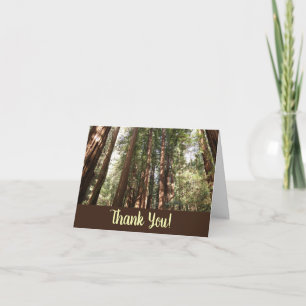 Up to Redwoods II at Muir Woods National Monument Thank You Card