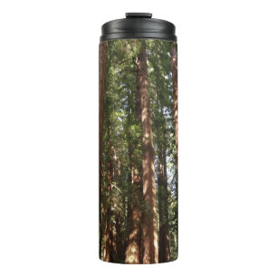 Up to Redwoods II at Muir Woods National Monument Thermal Tumbler