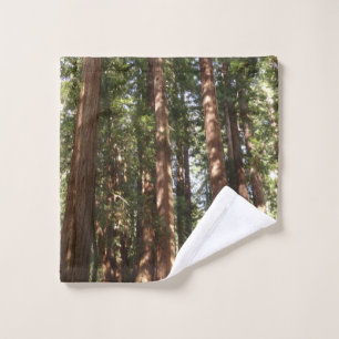 Up to Redwoods II at Muir Woods National Monument Wash Cloth