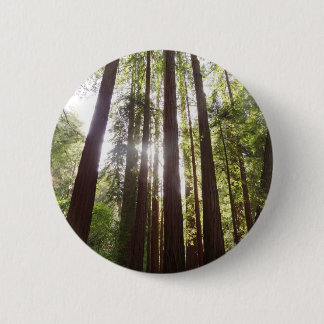 Up to Redwoods in the Morning 6 Cm Round Badge
