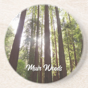Up to Redwoods in the Morning Coaster