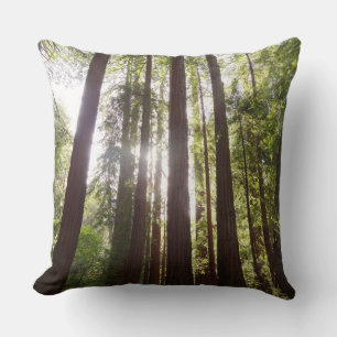 Up to Redwoods in the Morning Cushion