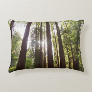 Up to Redwoods in the Morning Decorative Cushion