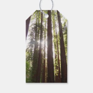 Up to Redwoods in the Morning Gift Tags