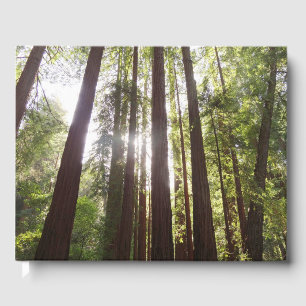Up to Redwoods in the Morning Guest Book