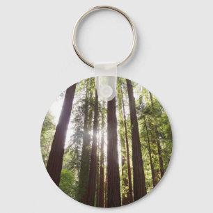 Up to Redwoods in the Morning Key Ring
