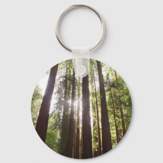 Up to Redwoods in the Morning Key Ring