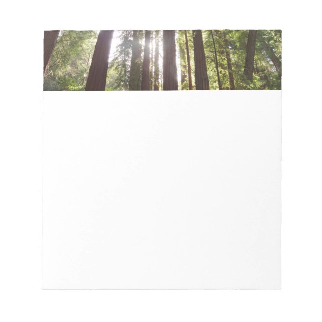 Up to Redwoods in the Morning Notepad (Front)