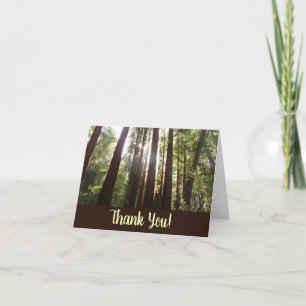 Up to Redwoods in the Morning Thank You Card