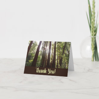 Up to Redwoods in the Morning Thank You Card