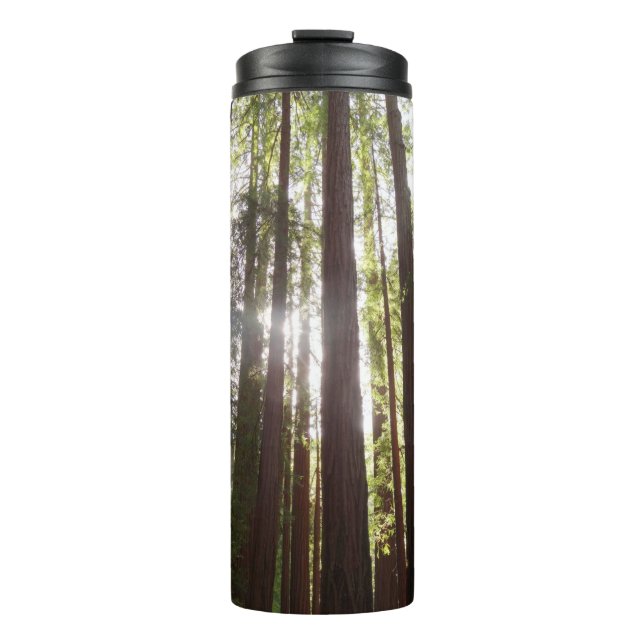 Up to Redwoods in the Morning Thermal Tumbler (Front)