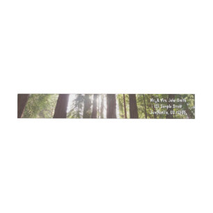 Up to Redwoods in the Morning Wrap Around Label