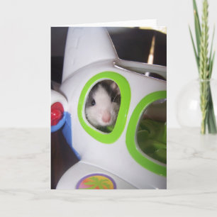 Up, Up and Away Card