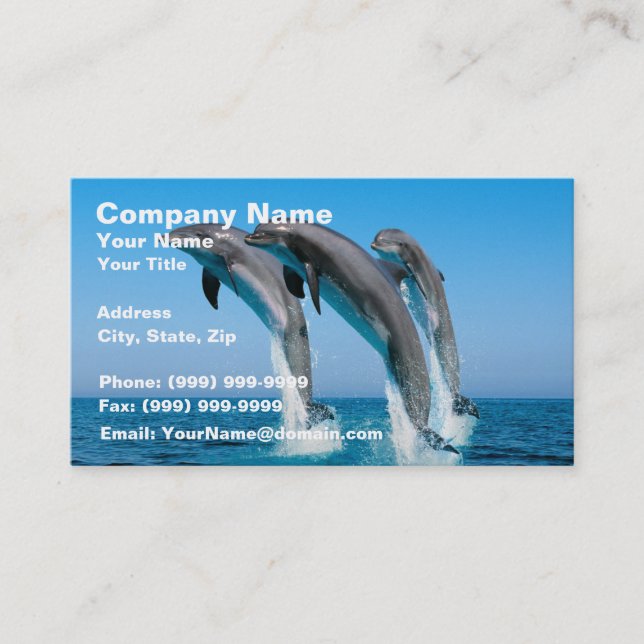 Up Up Up Dolphins Business Card (Front)