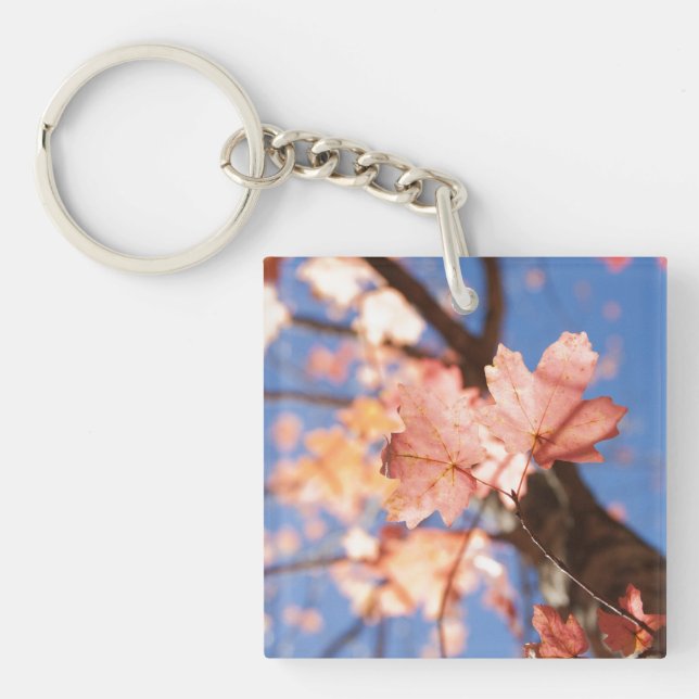 Up, up, up in the trees key ring (Front)