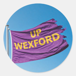 "Up Wexford" G.A.A. themed stckers Classic Round Sticker