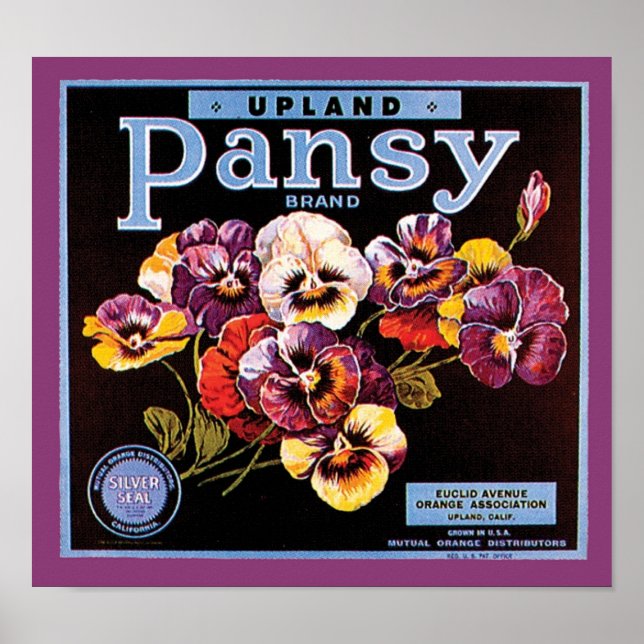 Upland Pansy VIntage Crate Label Poster (Front)