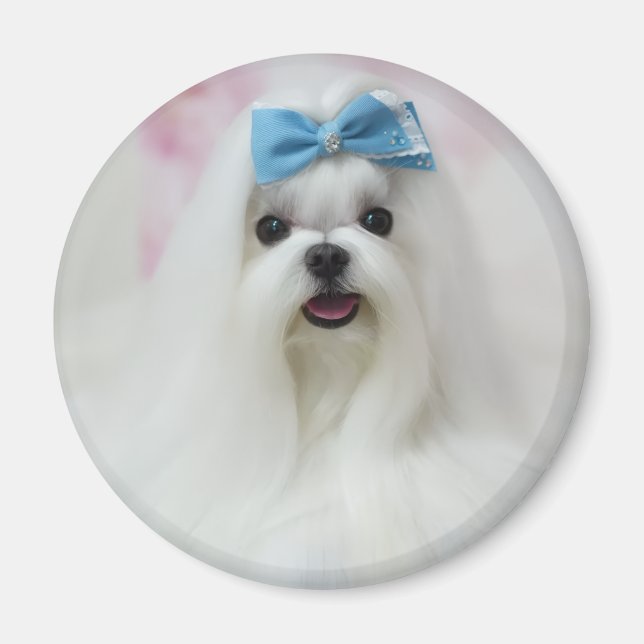 Upload Pet Photo Cute Adorable Dog Magnet (Front)