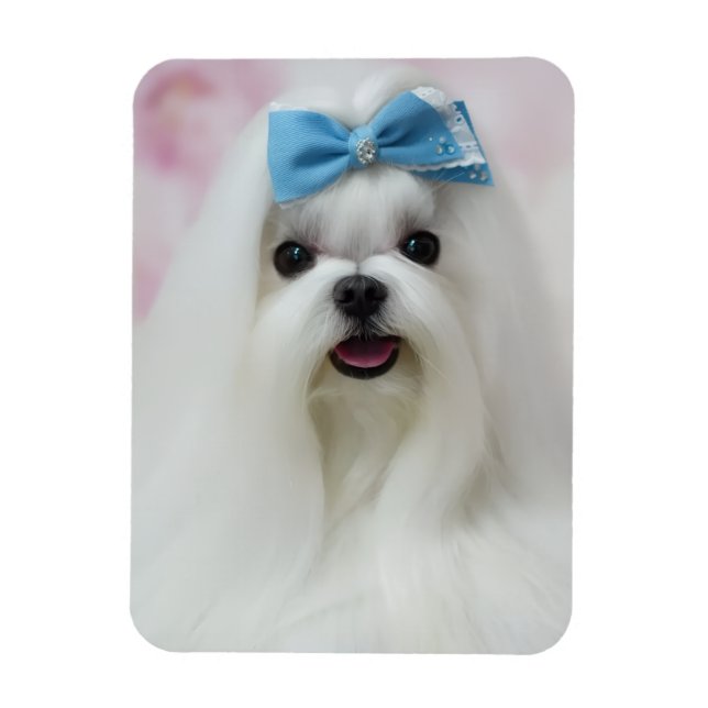 Upload Pet Photo Cute Adorable Dog Magnet (Vertical)