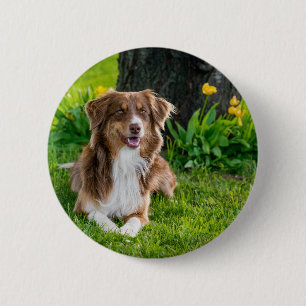 Upload Your Favourite Pet Photo 6 Cm Round Badge