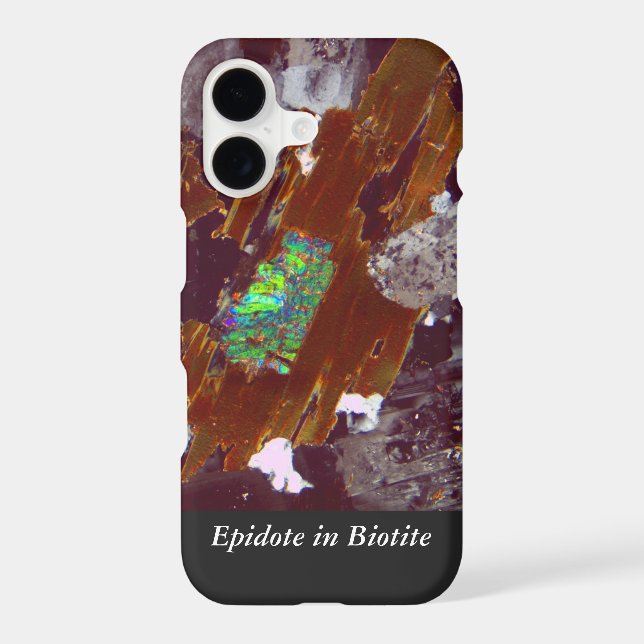 Upload Your Favourite Thin Section! (Back)