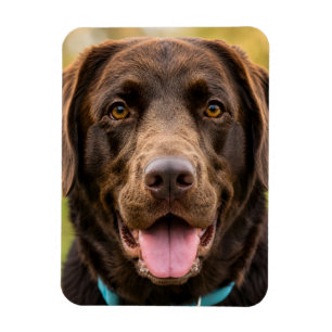 Upload Your Own Dog Picture Magnet