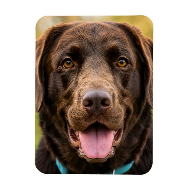 Upload Your Own Dog Picture Magnet (Vertical)