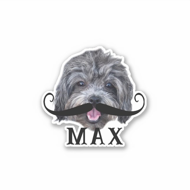 Upload Your Pet Face Photo & Name Silly Moustache (Front)