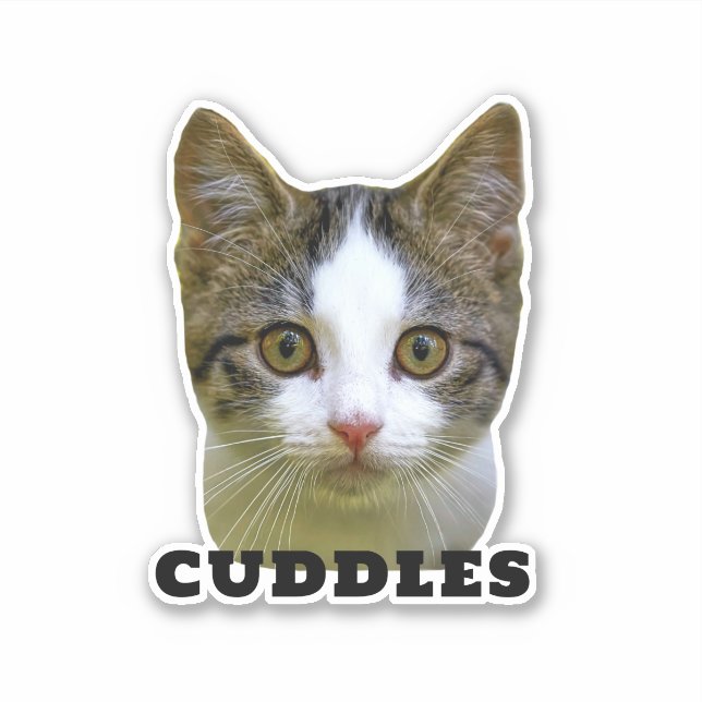 Upload Your Pet Photo & Name Personalised Sticker (Front)