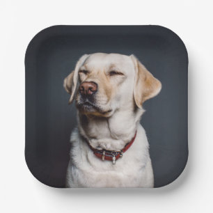 Upload your photo paper plate