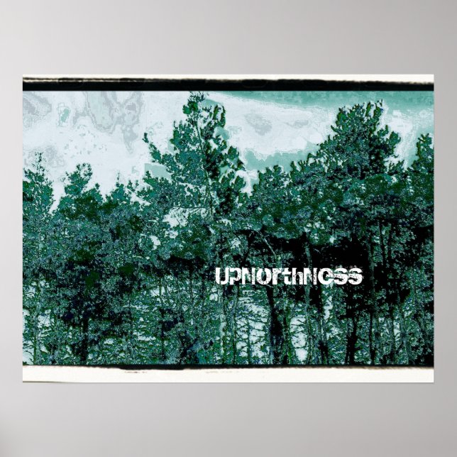 UpNorthNess Poster (Front)