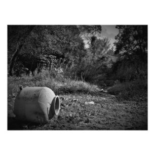"Upon Discarded Land" Photo Print
