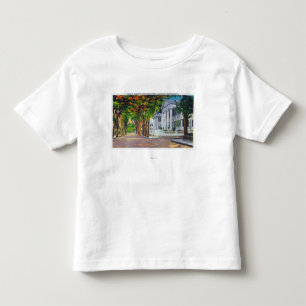 Upper Main Street View of Colonial Mansions Toddler T-Shirt