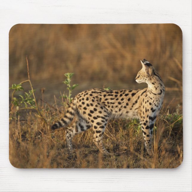 Upper Mara, Masai Mara Game Reserve, Kenya, Mouse Pad (Front)