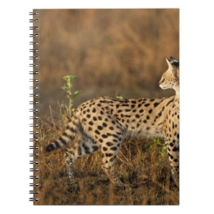 Upper Mara, Masai Mara Game Reserve, Kenya, Spiral Notebook