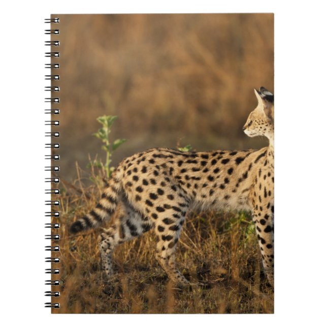 Upper Mara, Masai Mara Game Reserve, Kenya, Spiral Notebook (Front)