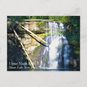 Upper North Falls, OR Postcard