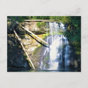 Upper North Falls, Silver Falls, Oregon Postcard