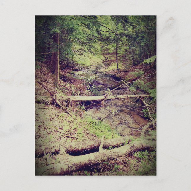 Upper Peninsula Creek Postcard (Front)