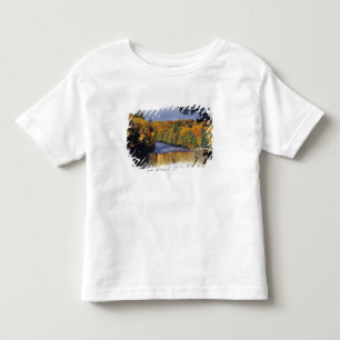 Upper Tahquamenon Falls in UP Michigan in autumn Toddler T-Shirt